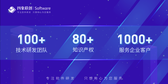 軟件開發公司.png