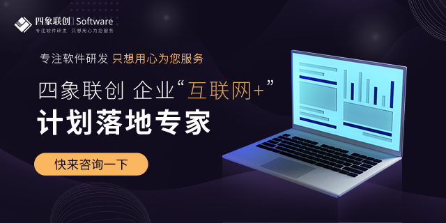 成都軟件開發公司.png